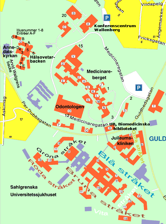 Tor Ahnhoff, medicinarg.