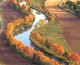 Längs med Göta kanal bildar världens längsta allé som består 10 000 träd. Dessutom det skönhet trädens rotsystem skyddar bankarna mot erosion.