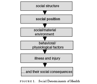 Social determinants of health (1) (Graham
