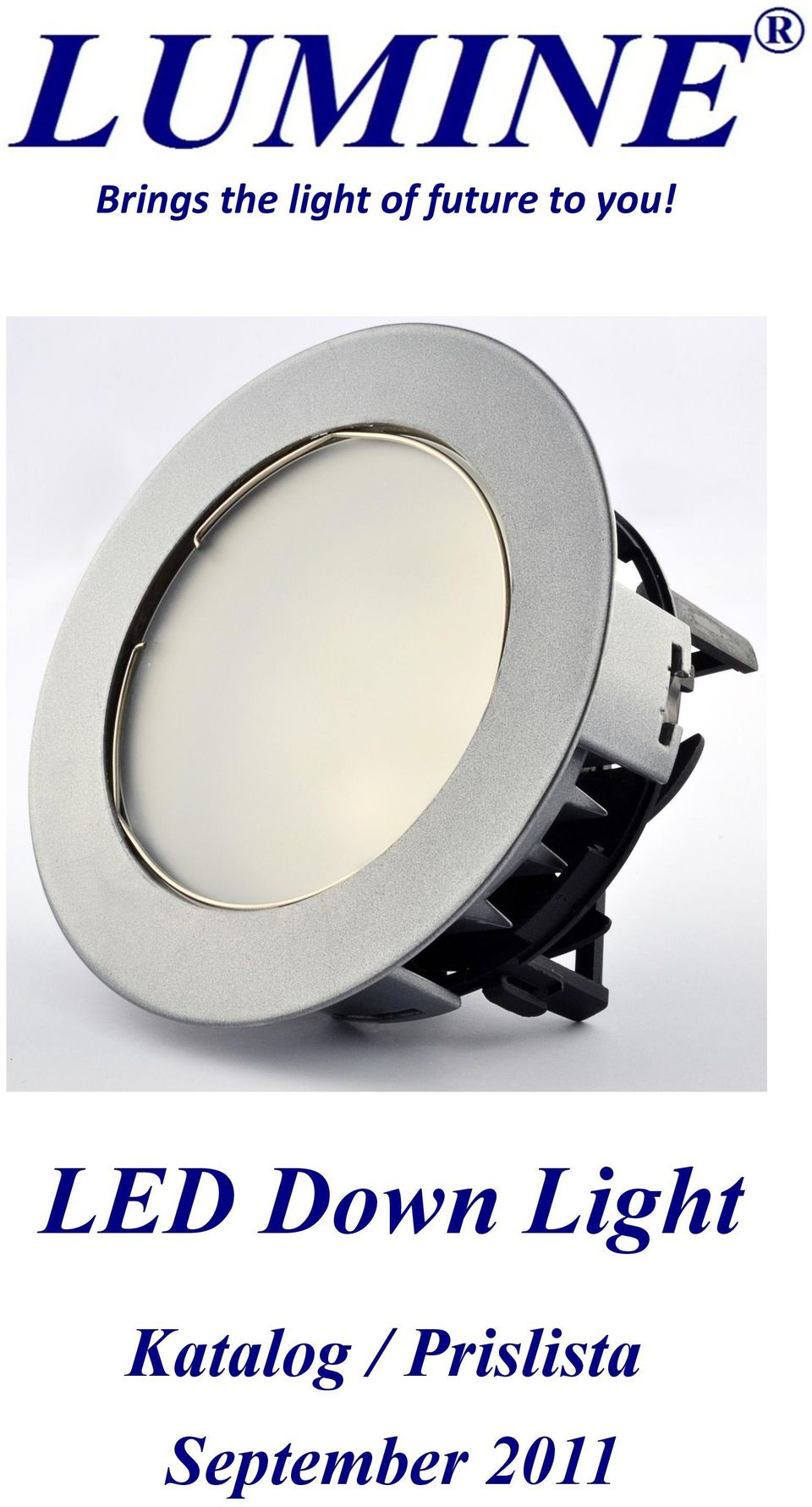 LED Down Light