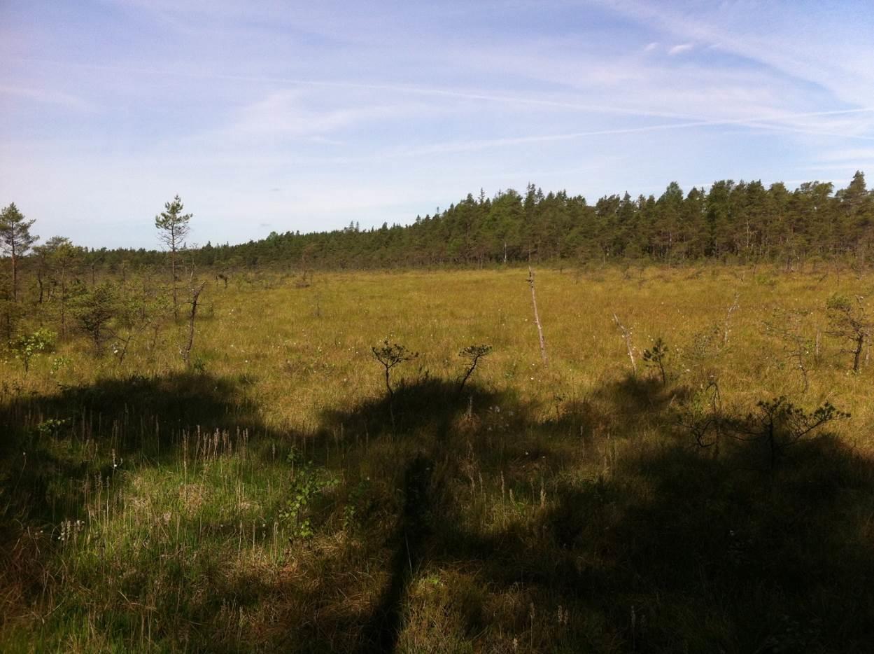 BILAGA 6 VÅTMARKSUTREDNING GRÖNHULT