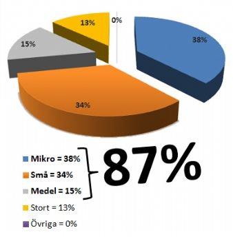 självdeklaration Preliminärt bevis på att det inte finns uteslutningsgrunder och