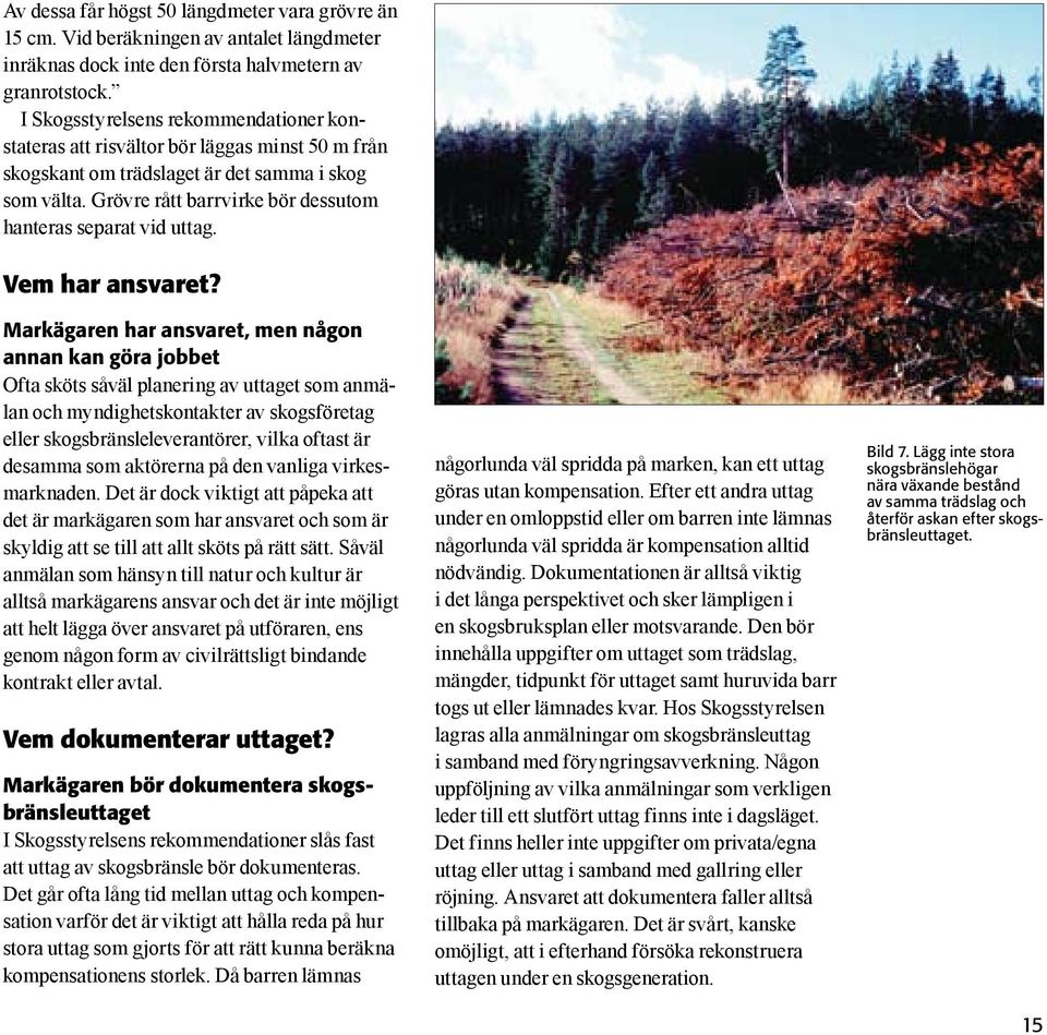 Grövre rått barrvirke bör dessutom hanteras separat vid uttag. Vem har ansvaret?