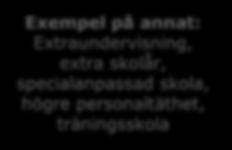 % 1 Hälften har anpassad pedagogik och fyra av tio har speciallärare Vad av följande har ditt barn tillgång till som stöd i undervisningen?