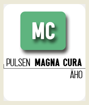 Manual ÄBO Genomförandeplan IBIC