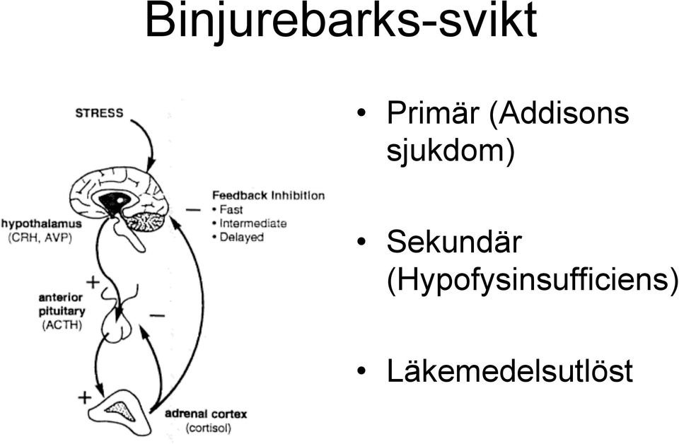 sjukdom) Sekundär