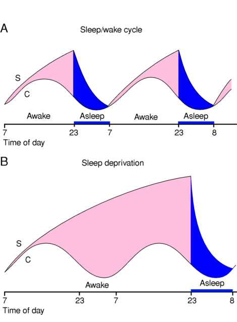Adenosine