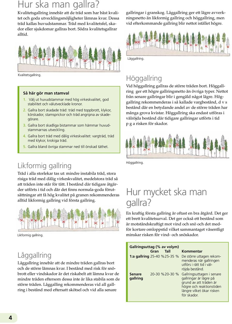 Låggallring ger ett lägre avverkningsnetto än likformig gallring och hög gallring, men vid efterkommande gallring blir nettot istället högre. Låggallring. Kvalitetsgallring. Så här gör man stamval 1.