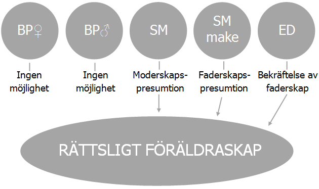 spermiedonator att bekräfta faderskapet och därmed utesluta en beställande man utan genetisk anknytning till det resulterande barnet.