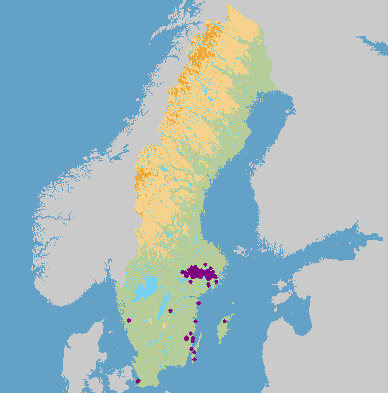 svår att upptäcka under sommarhalvåret men genom sina vintergröna blad är de lättare att hitta då träden är avlövade. Misteln är Västmanlands landskapsblomma.
