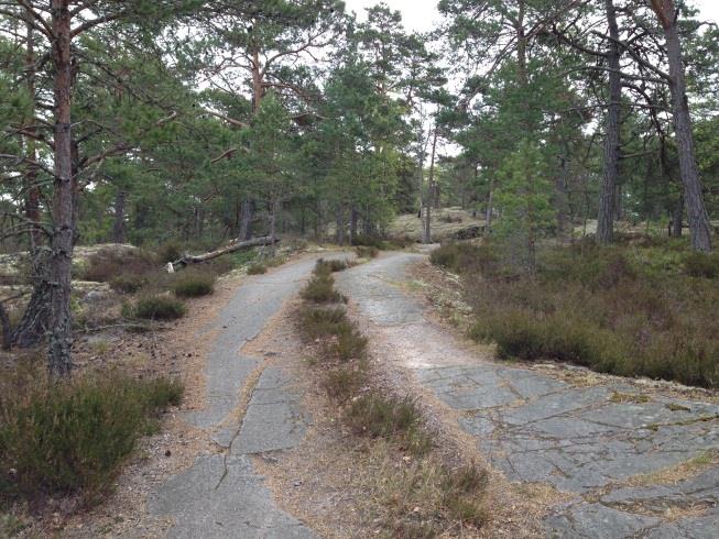 Figur 2. Översikt av inventeringsområdet.