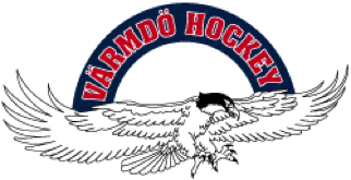 Matchtröjor Förslag finns att ta fram egna matchtröjor med sponsorloggor, namn- och nummertryck till alla spelare, hemma- och bortaställ. Kostnaden skulle bli ca 45.