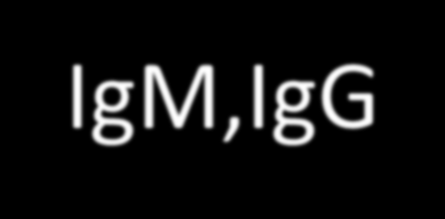 Typ 1(monoklonal IgM, IgG)- associerad med myeloproliferativa sjukdomar Typ 2- (polyklonal IgG, monoklonal IgM)