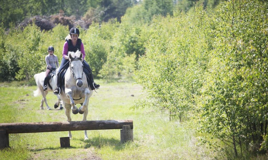 2014 Likabehandlingsplan Jönköpings fältrittklubb