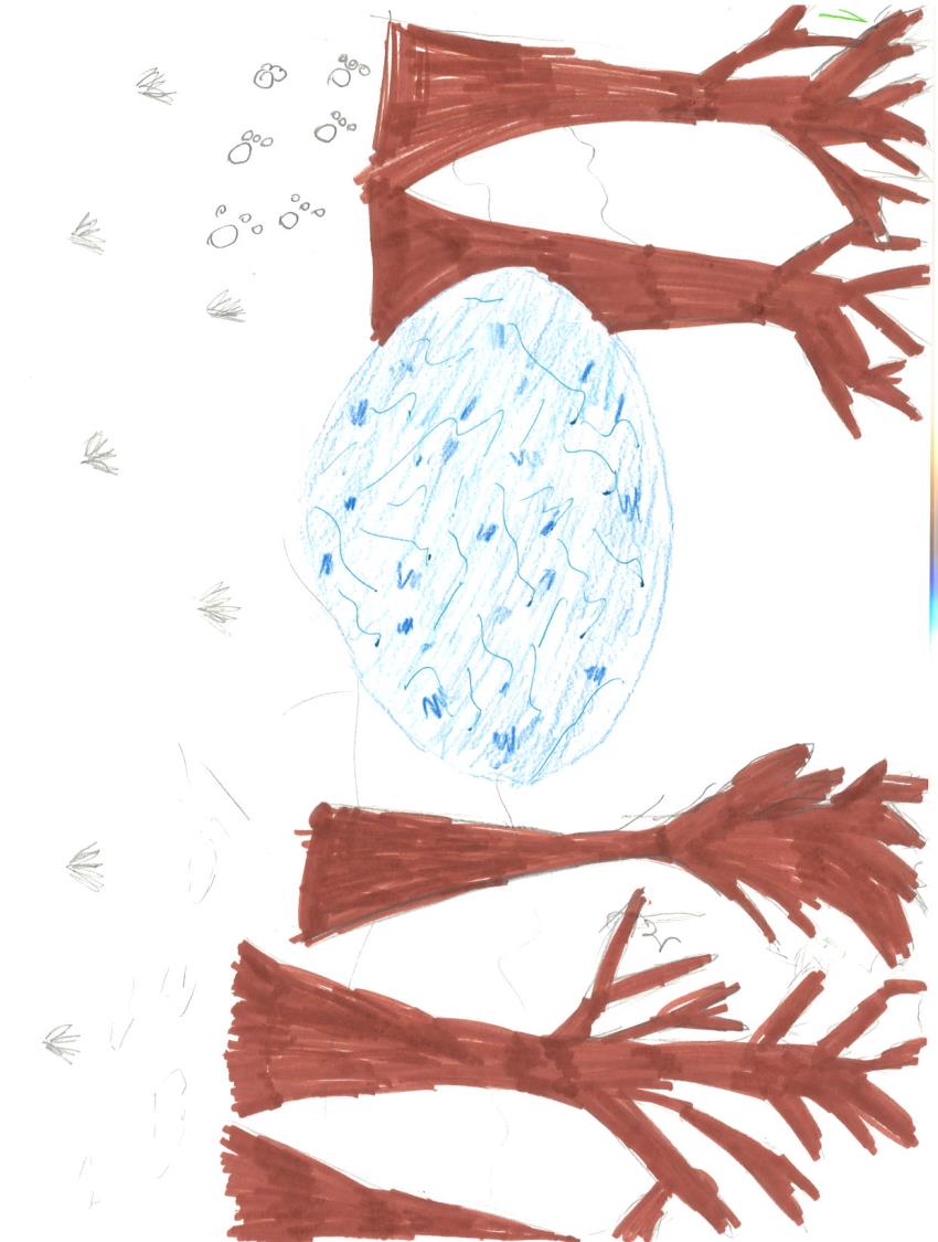 som jag brukar plocka hos hönsen, sen tittade jag lite närmare det var ett blå skiftande ovalt ägg men var för ägg.