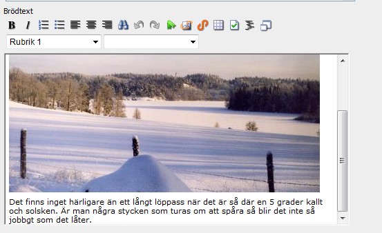 Bilden är nu infogad före brödtexten När du har infogat bilden har du tre sparamöjligheter:
