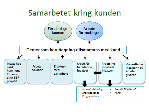 Sida: 13 av 35 Målet för samarbetet är att de personer som behöver Arbetsförmedlingens och Försäkringskassans kompetens för att finna, få och behålla eller inträda i arbete ska få det.