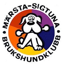 Verksamhetsberättelse 2013 Märsta- Sigtuna Brukshundklubb MSBK:s styrelse får härmed överlämna sin berättelse över verksamhet och förvaltning under verksamhetsåret 2013.