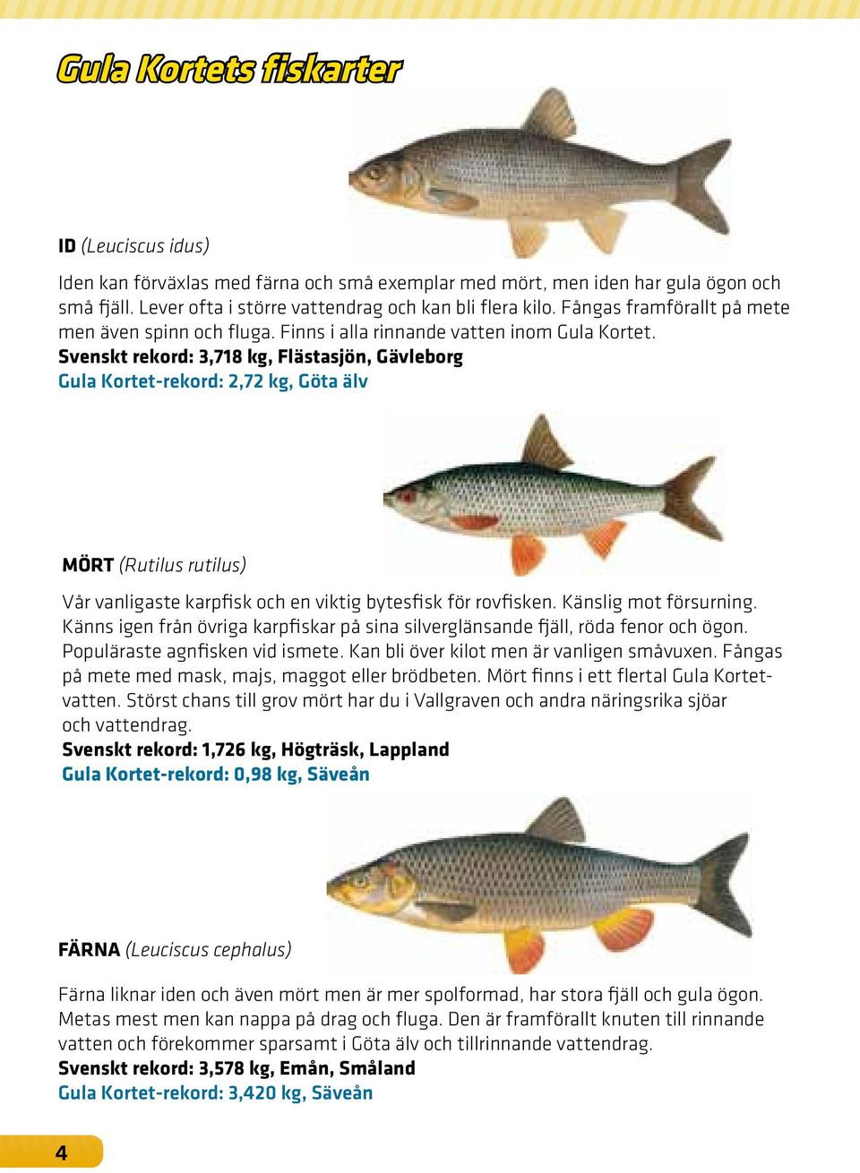 Svenskt rekord: 3,718 kg, Flästasjön, Gävleborg Gula Kortet-rekord: 2,72 kg, Göta älv Mört (Rutilus rutilus) Vår vanligaste karpfisk och en viktig bytesfisk för rovfisken. Känslig mot försurning.