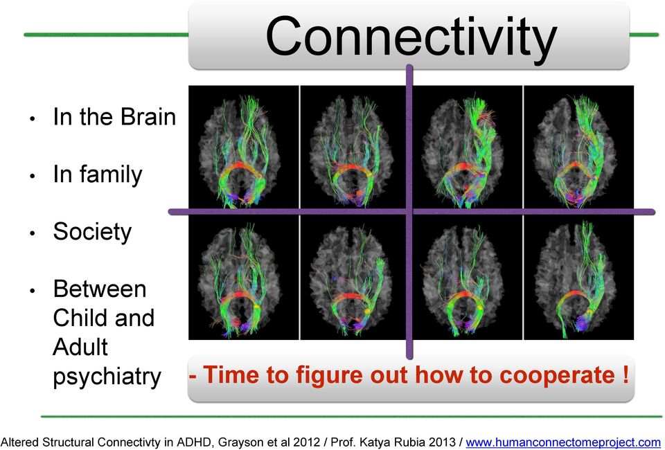 Altered Structural Connectivty in ADHD, Grayson et al 2012