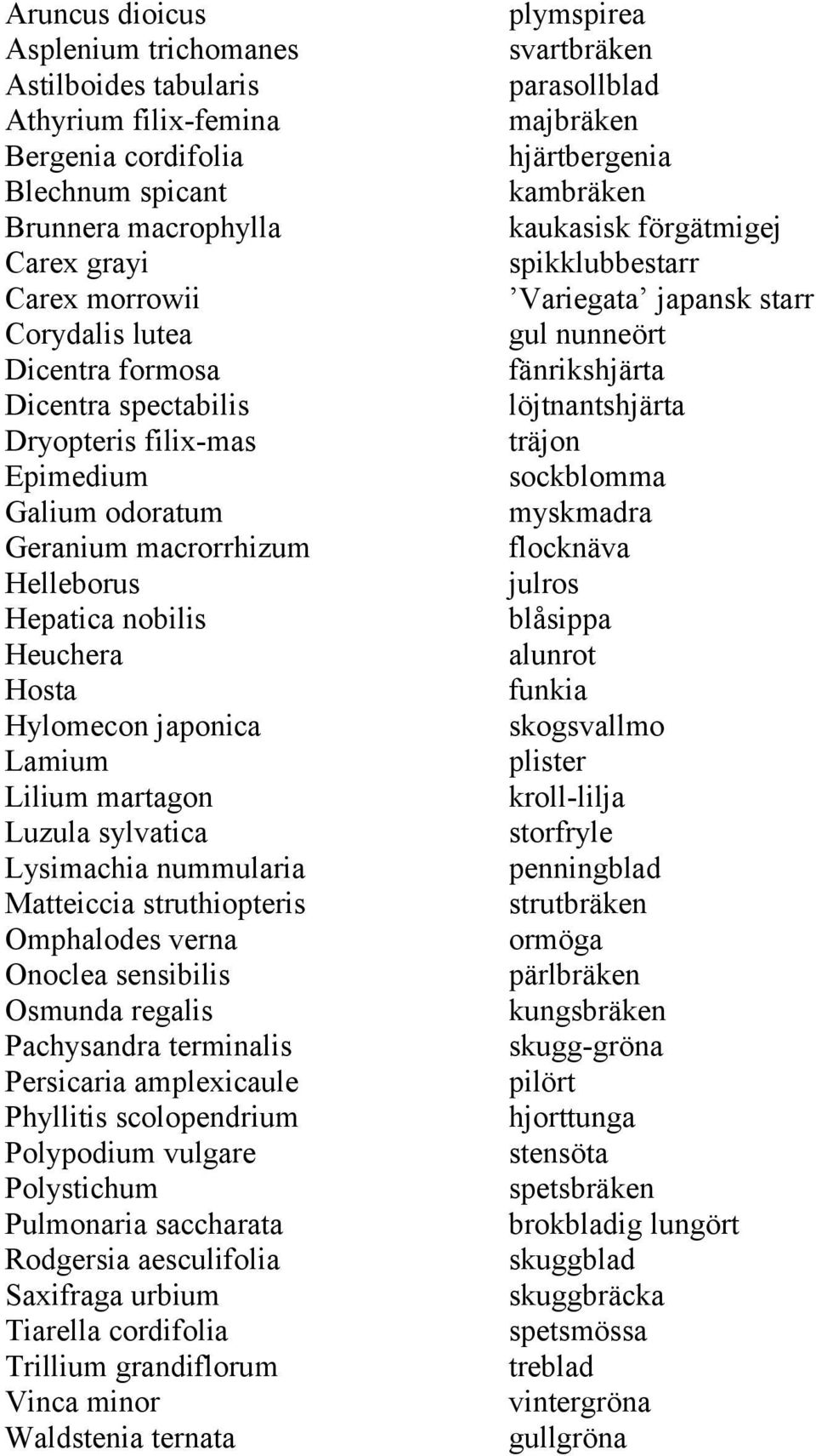 Lysimachia nummularia Matteiccia struthiopteris Omphalodes verna Onoclea sensibilis Osmunda regalis Pachysandra terminalis Persicaria amplexicaule Phyllitis scolopendrium Polypodium vulgare