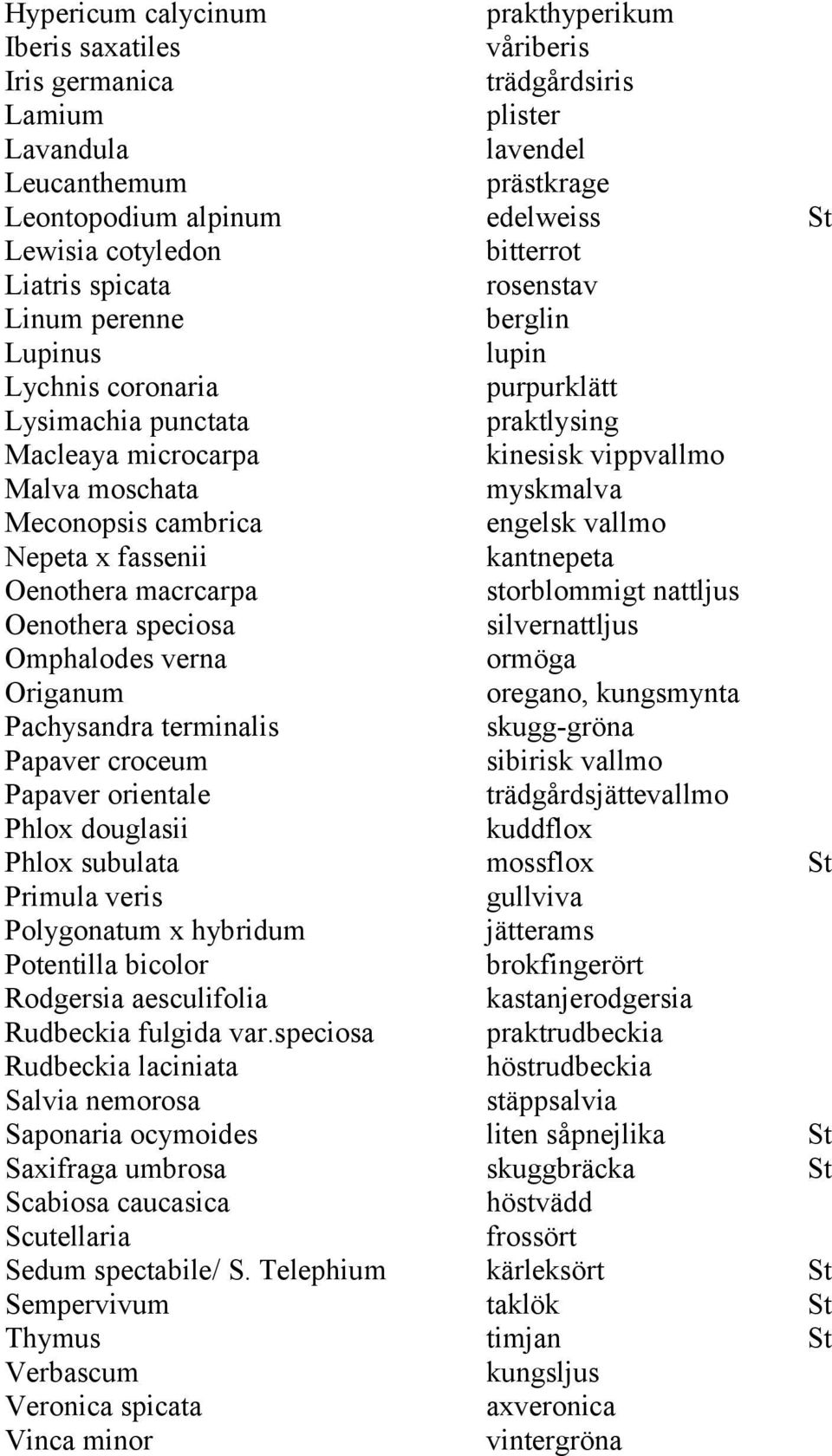 myskmalva Meconopsis cambrica engelsk vallmo Nepeta x fassenii kantnepeta Oenothera macrcarpa storblommigt nattljus Oenothera speciosa silvernattljus Omphalodes verna ormöga Origanum oregano,