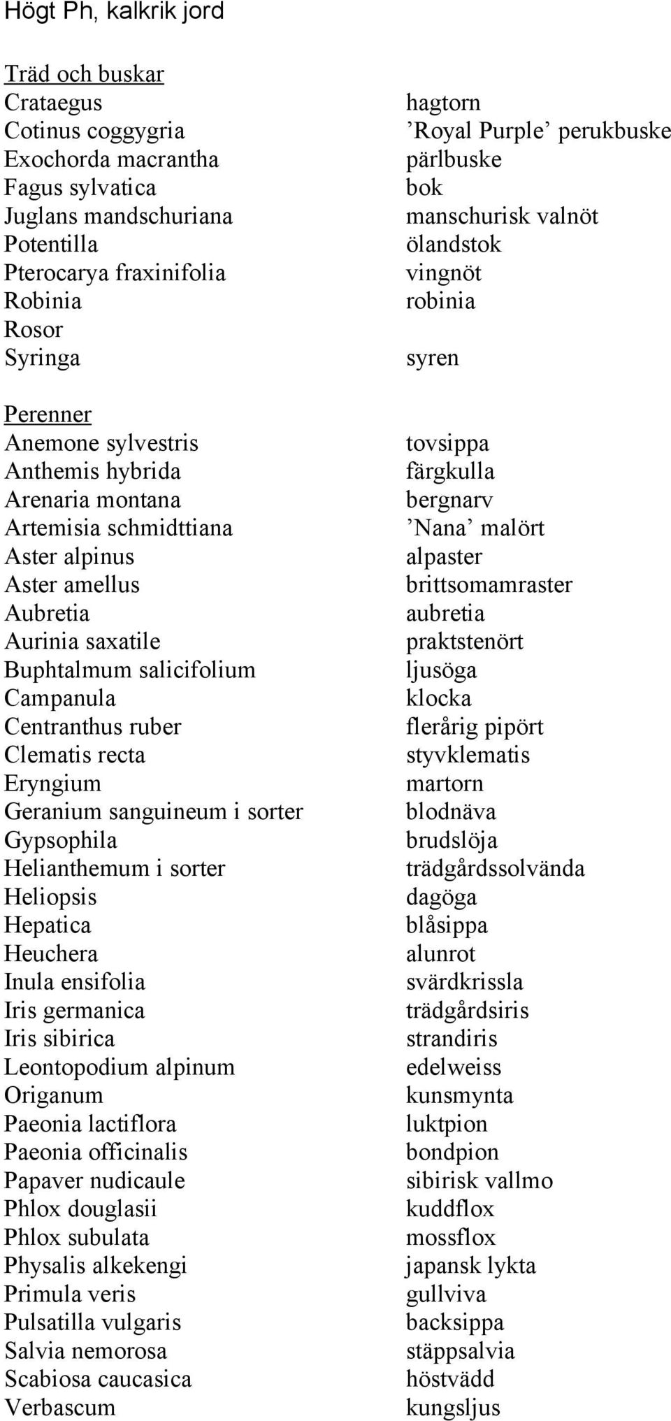 Geranium sanguineum i sorter Gypsophila Helianthemum i sorter Heliopsis Hepatica Heuchera Inula ensifolia Iris germanica Iris sibirica Leontopodium alpinum Origanum Paeonia lactiflora Paeonia