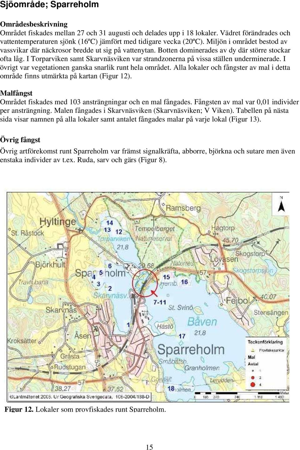 Botten dominerades av dy där större stockar ofta låg. I Torparviken samt Skarvnäsviken var strandzonerna på vissa ställen underminerade. I övrigt var vegetationen ganska snarlik runt hela området.