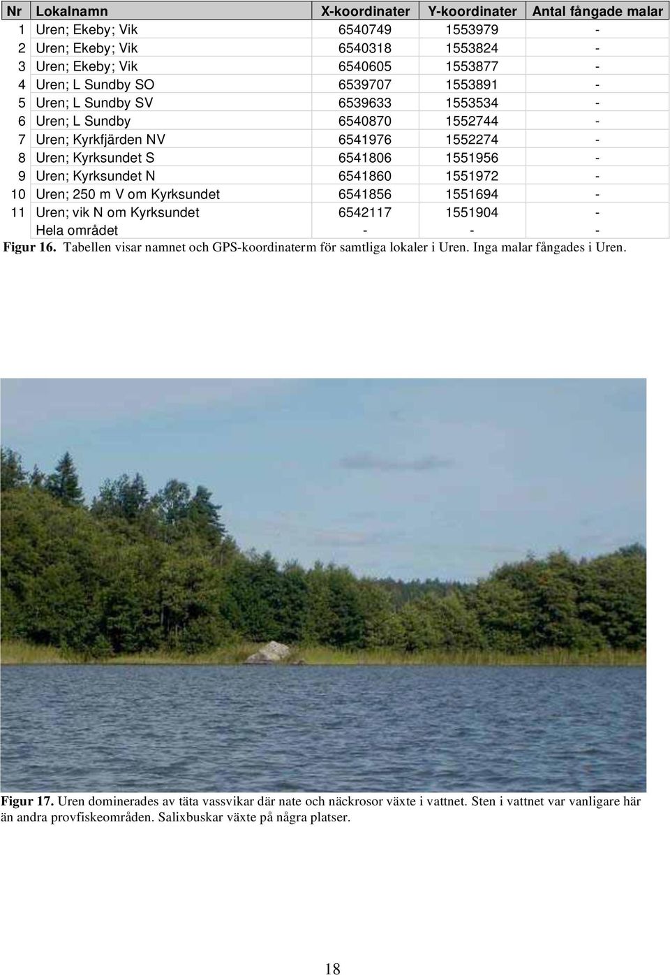 Uren; 250 m V om Kyrksundet 6541856 1551694-11 Uren; vik N om Kyrksundet 6542117 1551904 - Hela området - - - Figur 16. Tabellen visar namnet och GPS-koordinaterm för samtliga lokaler i Uren.