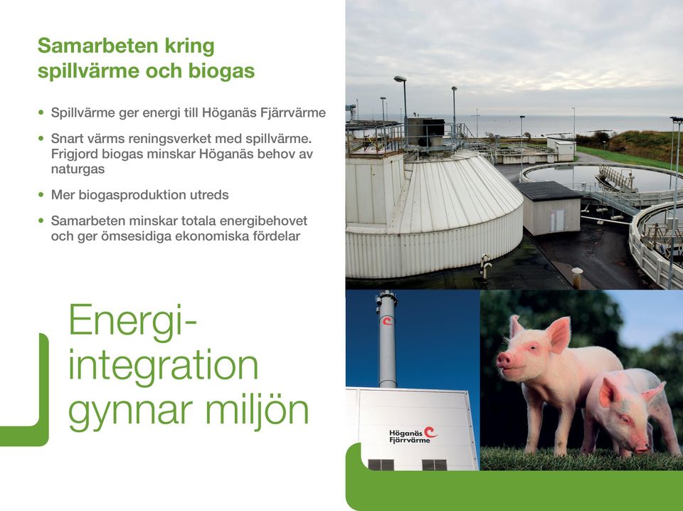 Frigjord biogas minskar Höganäs behov av naturgas Mer biogasproduktion utreds