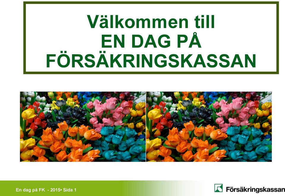 FÖRSÄKRINGSKASSAN