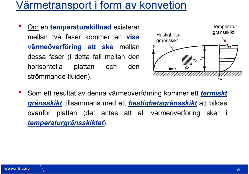 Hastighetsgränsskikt Temperaturgränsskikt Som ett resultat av denna värmeöverförning kommer ett termiskt gränsskikt