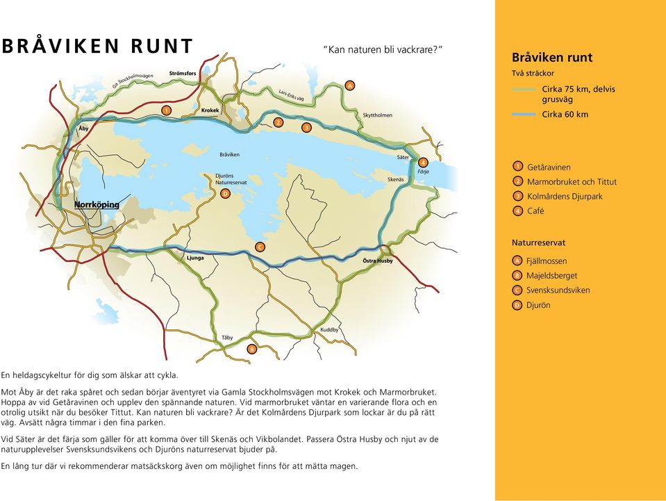 Tittut D Kolmårdens Djurpark afé Ljunga Östra Husby Fjällmossen Majeldsberget Svensksundsviken D Djurön Tåby Kuddby En heldagscykeltur för dig som älskar att cykla.