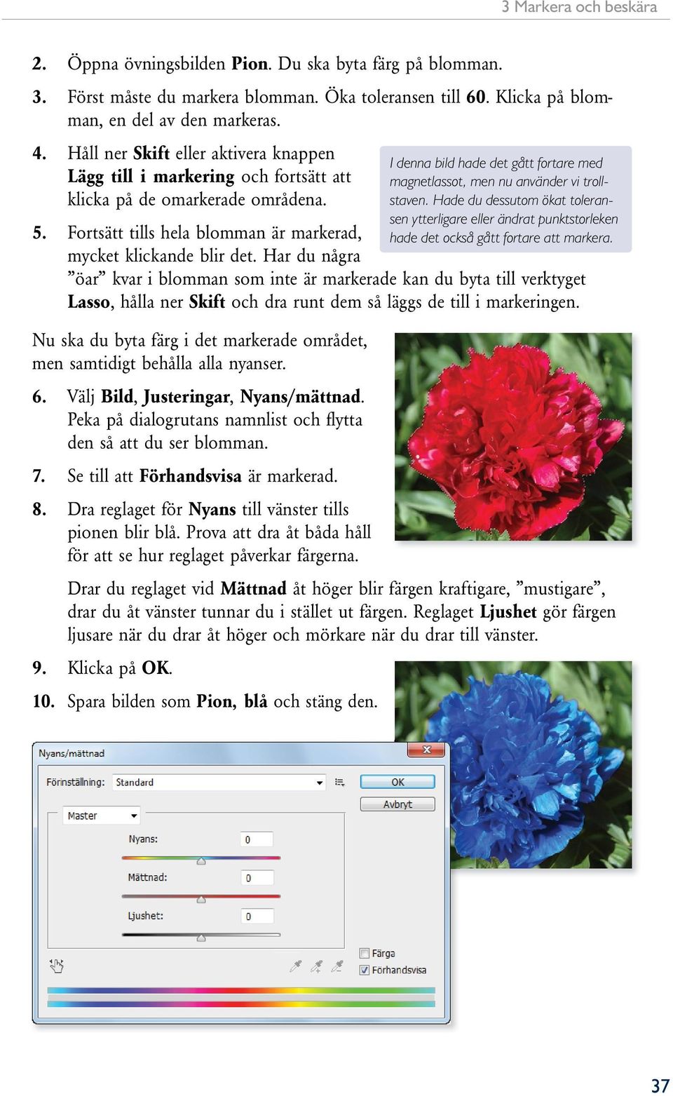 Har du några öar kvar i blomman som inte är markerade kan du byta till verktyget Lasso, hålla ner Skift och dra runt dem så läggs de till i markeringen.