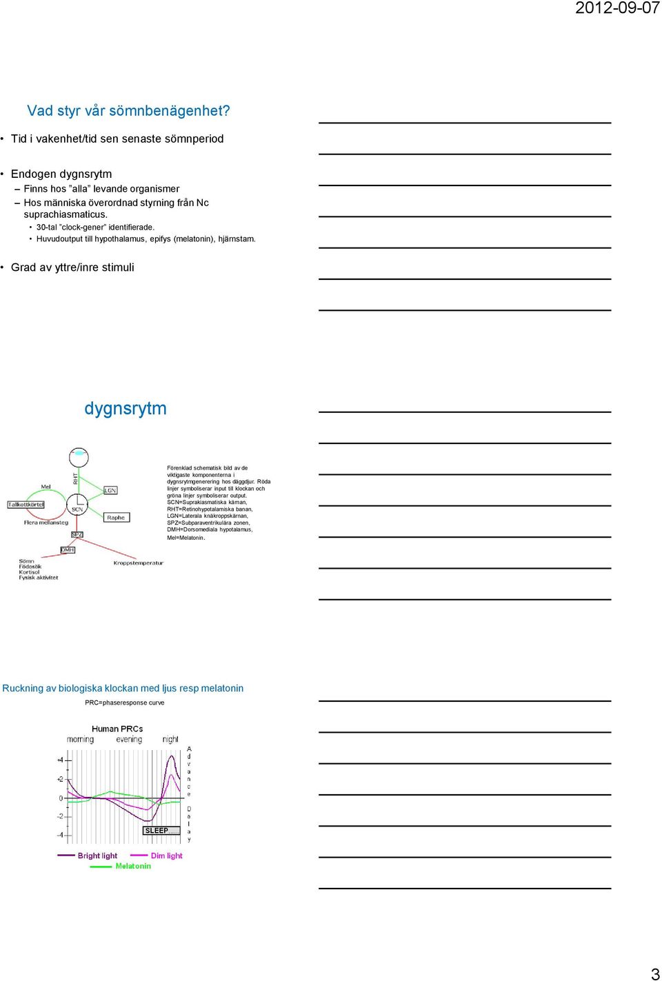 Grad av yttre/inre stimuli dygnsrytm Förenklad schematisk bild av de viktigaste komponenterna i dygnsrytmgenerering hos däggdjur.