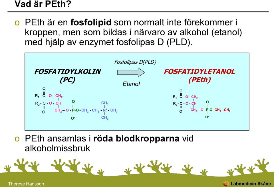 enzymet fosfolipas D (PLD).