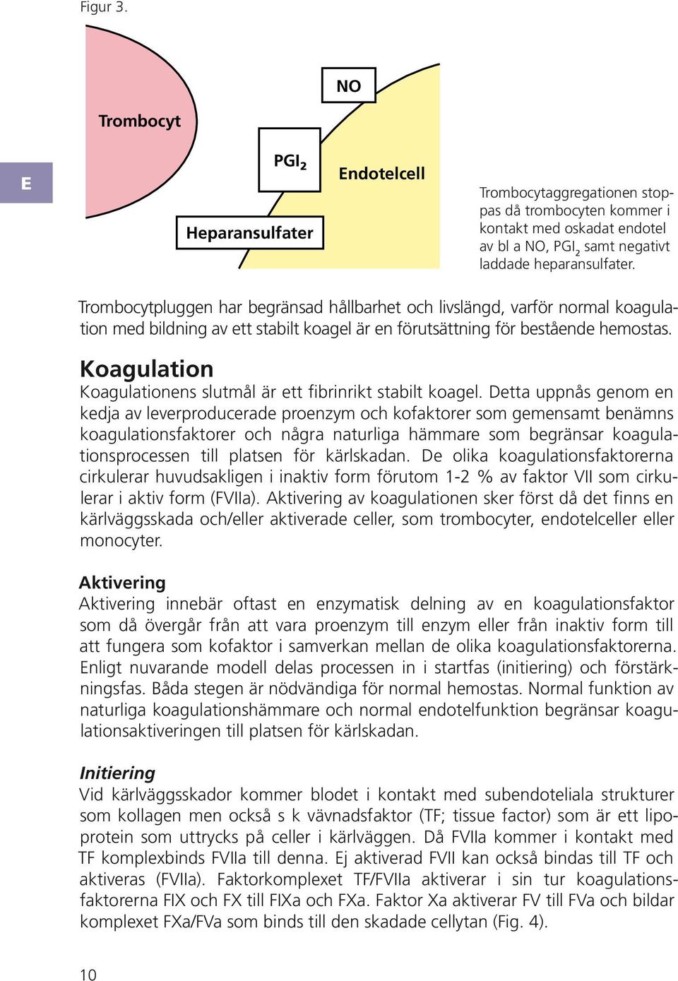 oagulation oagulationens slutmål är ett fibrinrikt stabilt koagel.