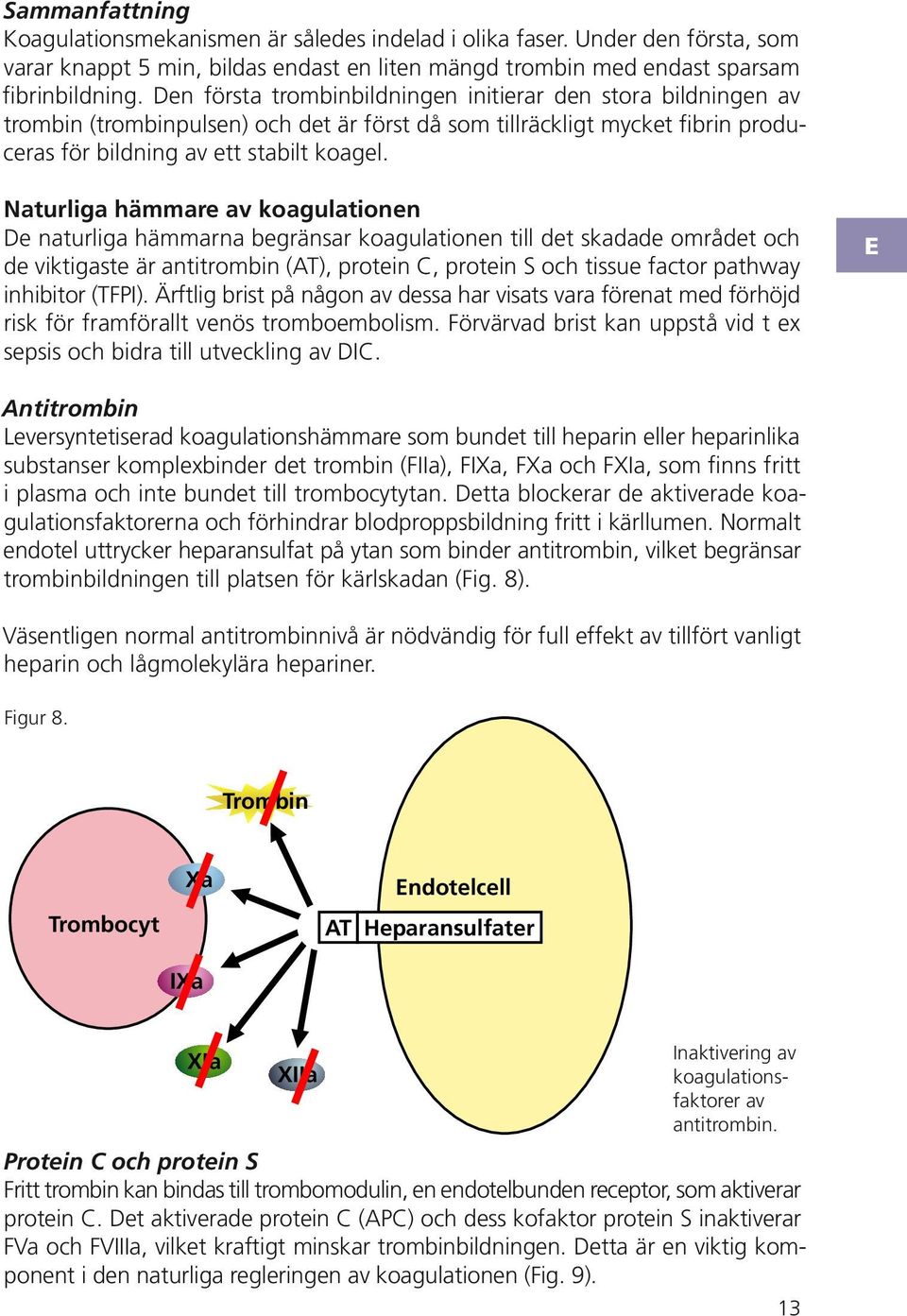 aturliga hämmare av koagulationen e naturliga hämmarna begränsar koagulationen till det skadade området och de viktigaste är antitrombin (), protein, protein och tissue factor pathway inhibitor ().