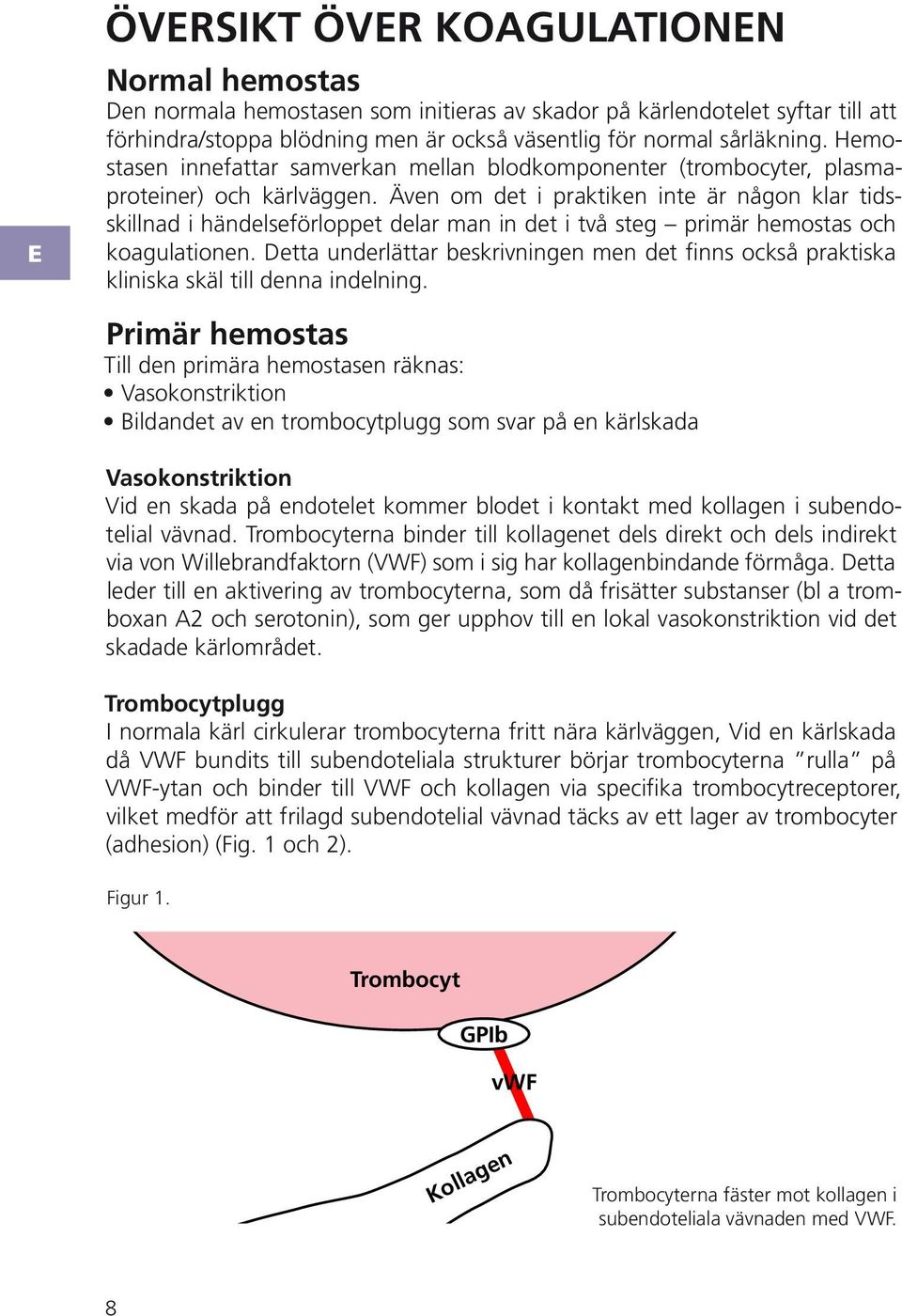 Även om det i praktiken inte är någon klar tidsskillnad i händelseförloppet delar man in det i två steg primär hemostas och koagulationen.