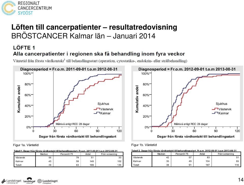resultatredovisning