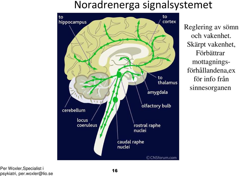 Skärpt vakenhet, Förbättrar