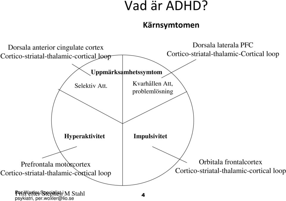 Cortico-striatal-thalamic-Cortical loop Uppmärksamhetssymtom Selektiv Att.