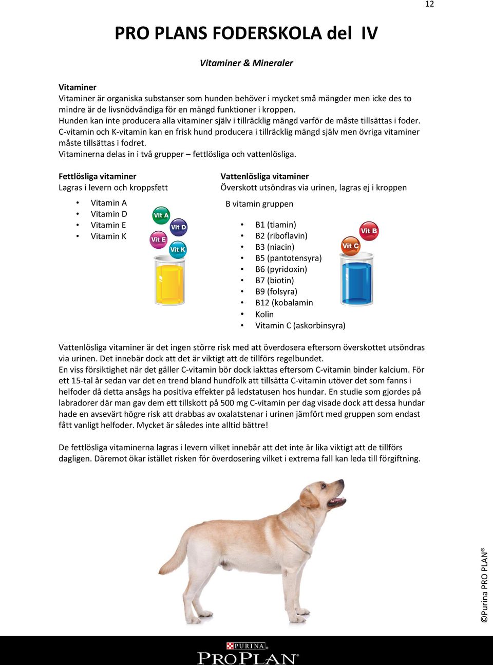 C-vitamin och K-vitamin kan en frisk hund producera i tillräcklig mängd själv men övriga vitaminer måste tillsättas i fodret. Vitaminerna delas in i två grupper fettlösliga och vattenlösliga.