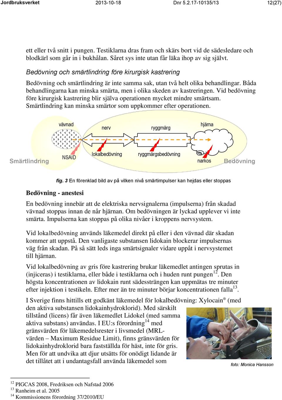 Båda behandlingarna kan minska smärta, men i olika skeden av kastreringen. Vid bedövning före kirurgisk kastrering blir själva operationen mycket mindre smärtsam.