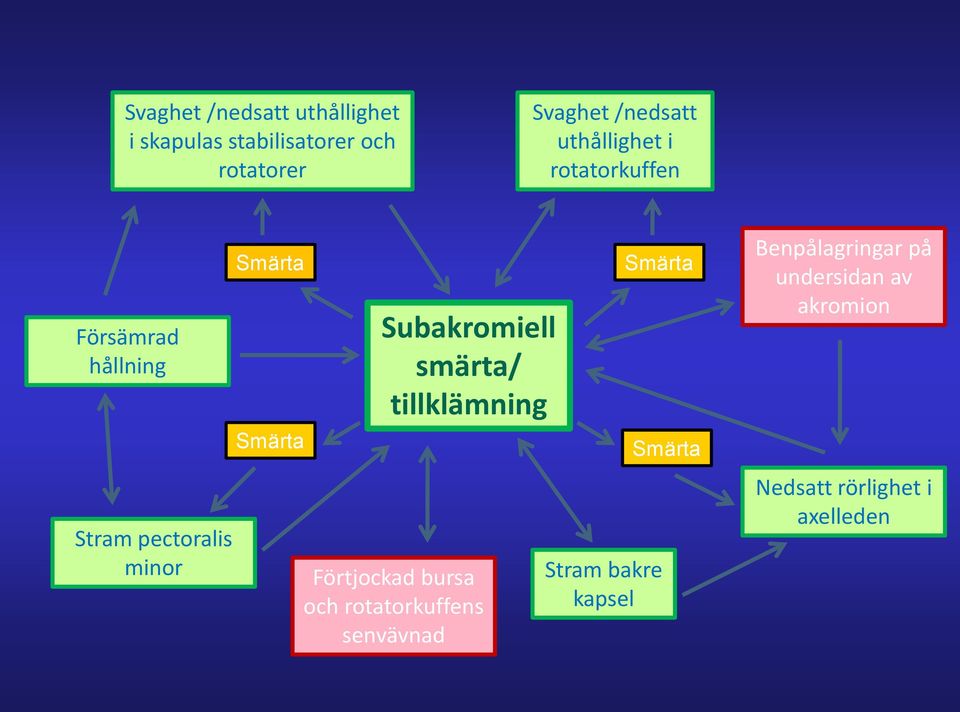 Subakromiell smärta/ tillklämning Förtjockad bursa och rotatorkuffens senvävnad Smärta