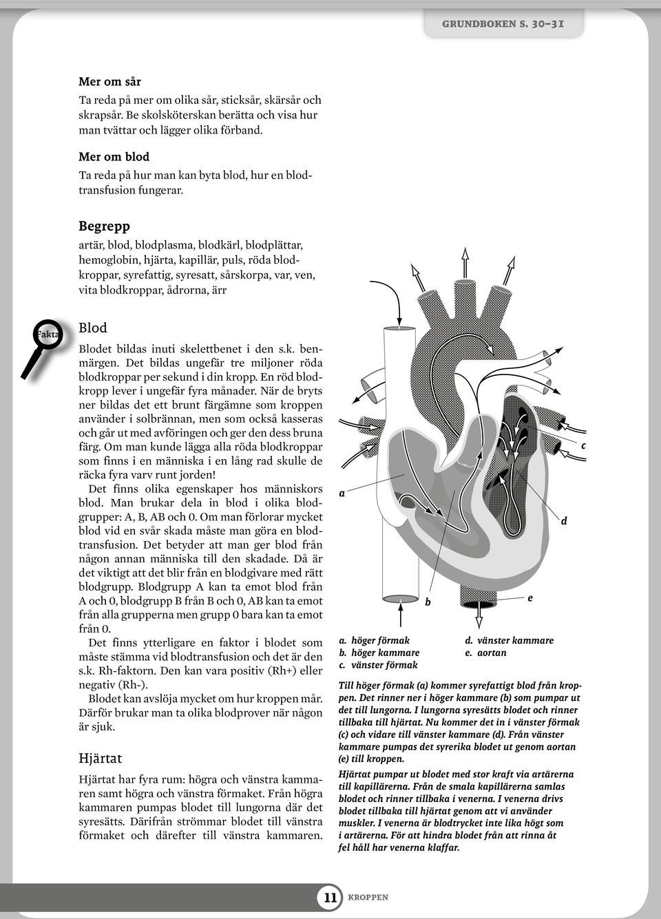 Begrepp artär, blod, blodplasma, blodkärl, blodplättar, hemoglobin, hjärta, kapillär, puls, röda blodkroppar, syrefattig, syresatt, sårskorpa, var, ven, vita blodkroppar, ådrorna, ärr Fakta Blod