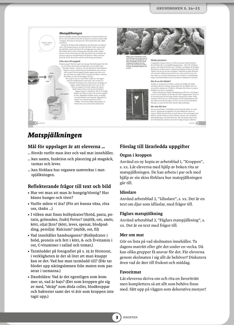 Energi får du främst från kolhydrater. Det finns gott om kolhydrater i till exempel potatis, ris, bröd och frukt. Fettet som du äter ger dig både energi och ämnen för att bygga upp nya celler.