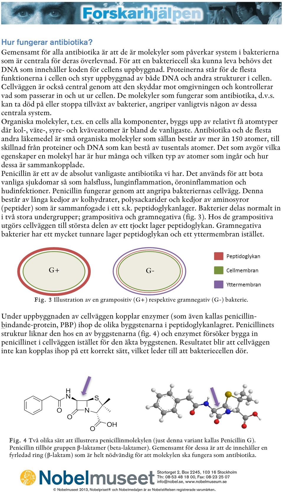 Proteinerna står för de flesta funktionerna i cellen och styr uppbyggnad av både DNA och andra strukturer i cellen.