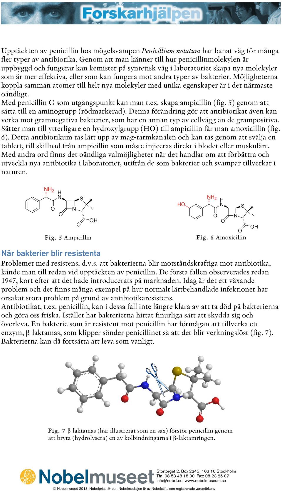 av bakterier. Möjligheterna koppla samman atomer till helt nya molekyler med unika egenskaper är i det närmaste oändligt. Med penicillin G som utgångspunkt kan man t.ex. skapa ampicillin (fig.