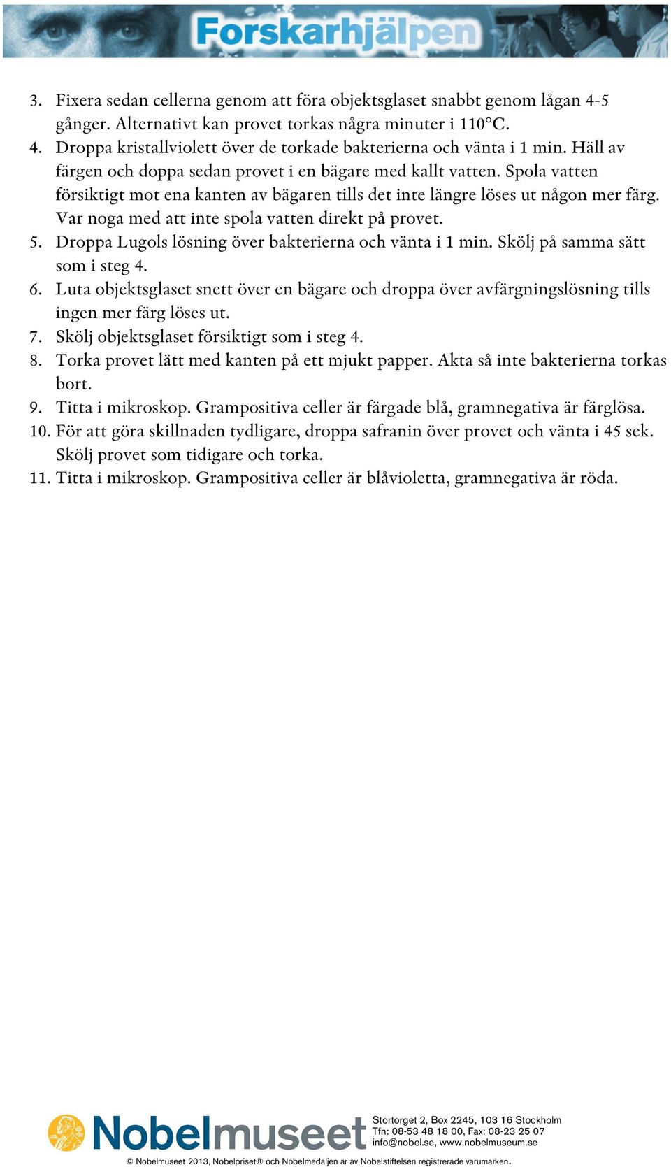 Var noga med att inte spola vatten direkt på provet. 5. Droppa Lugols lösning över bakterierna och vänta i 1 min. Skölj på samma sätt som i steg 4. 6.